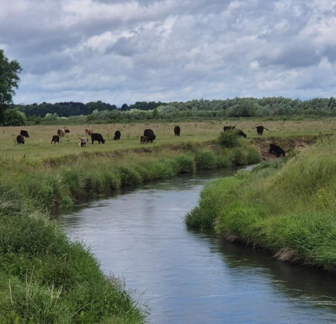 Boerderijwoning Сasa de vacaciones *